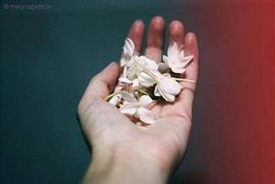 jasmine in hand.jpg